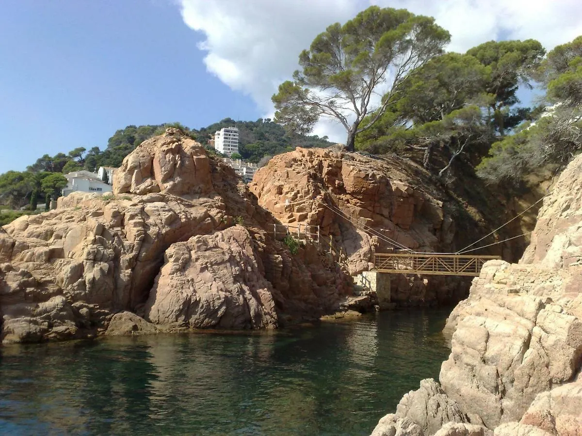 Salions Apartment Tossa de Mar Spain