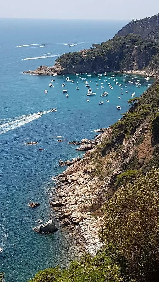 Salions Apartment Tossa de Mar 0*,  Spain