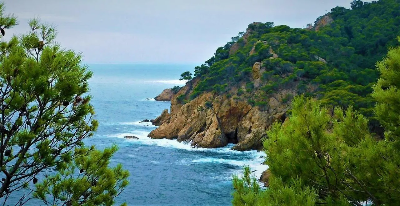 Salions Apartment Tossa de Mar